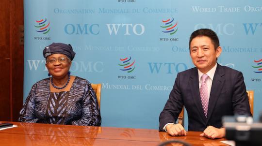 WTO总干事:中国是全球贸易一体化推动增长发展的教科书案例