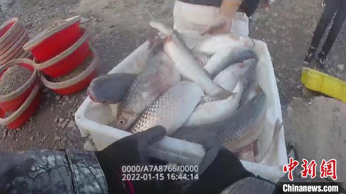 今年沪市首起非法捕捞案告破，抓获犯罪嫌疑人9名，缴获渔获1100余公斤。　上海市公安局浦东分局供图