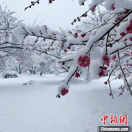 安徽近70家旅游景区因雪天临时关闭