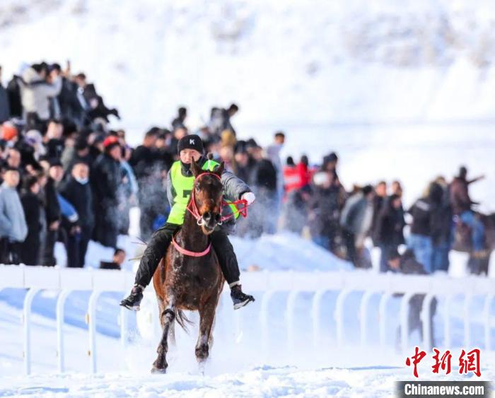 呼图壁县冰雪赛马会现场，选手们正在紧张角逐。　王俊伟 摄