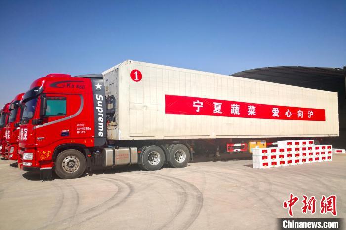 宁夏220吨优质蔬菜驰援上海