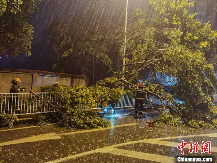 重庆多地遭遇狂风暴雨袭击局地风力达11级