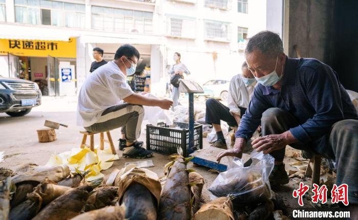 友邻同心共克时艰——“浙”里“守沪”的衢州特写