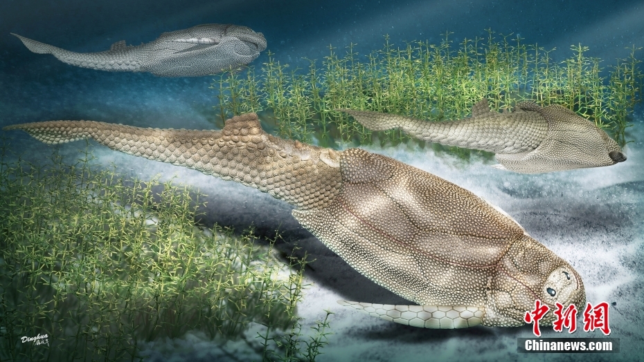 中国科学家最新研究4.1亿年前鱼化石 揭秘鳞片鳞列如何演化