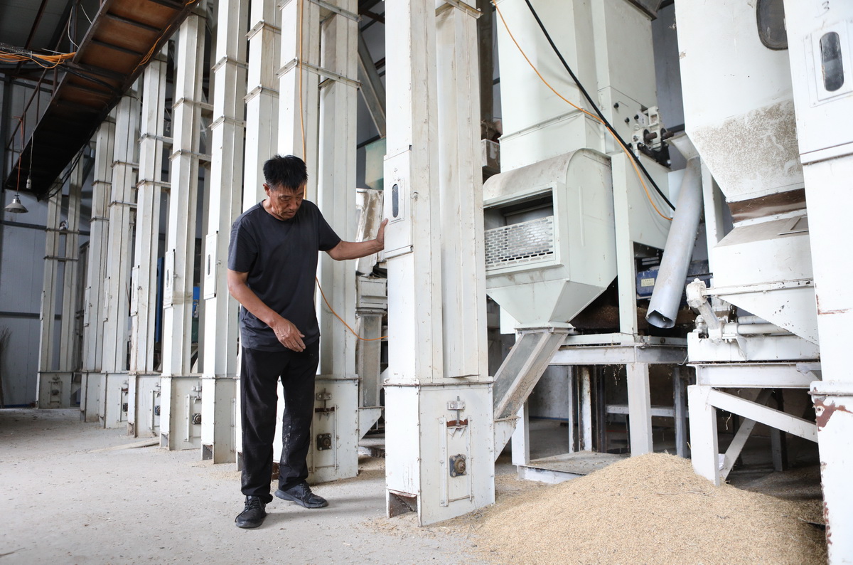 7月6日，于会怀在稻米加工厂内检查设备。