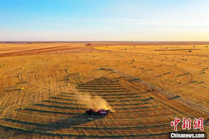 吉林省粮食产量连续突破800亿斤