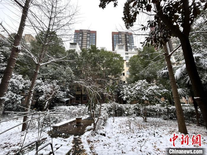 经历一夜大雪的武汉已是一片银装素裹 张芹 摄 经历一夜大雪的武汉已是一片银装素裹 张芹 摄