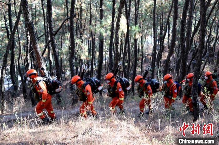 凉山西昌森林消防大队森林消防员背着灭火装备在林间巡逻。　樊文渊 摄