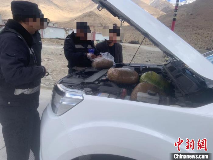 西藏日喀则公安破获一起特大走私案涉麝香、熊胆等