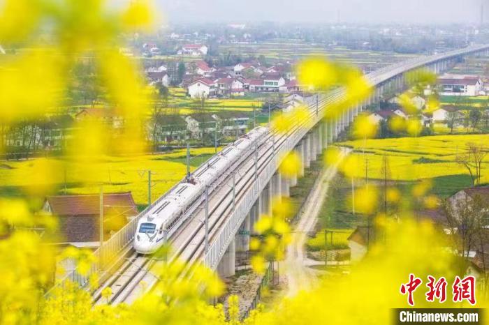 陕西汉中：“春日列车”穿梭金色油菜花海