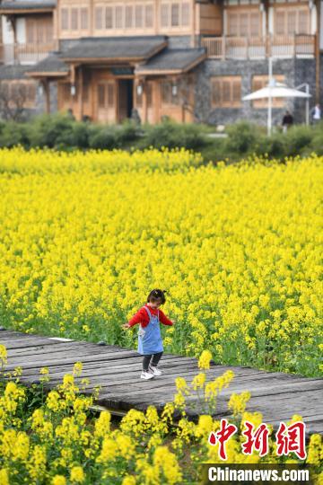 孩童在官塘新村前的油菜花田中游玩。　张浪 摄