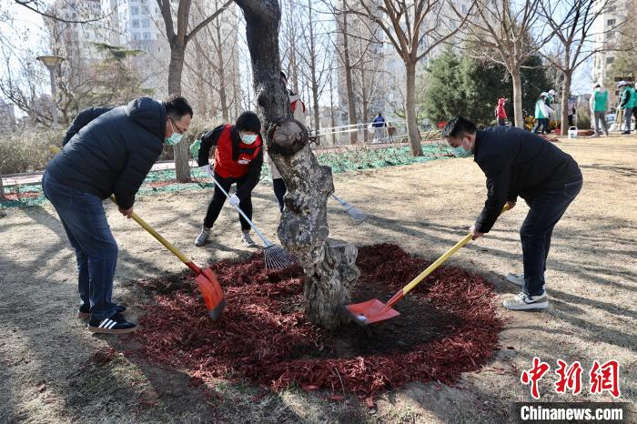 图为市民在石景山鲁谷奥运文化公园参与植树尽责活动。　<a target='_blank' href='/'>中新社</a>记者 易海菲 摄