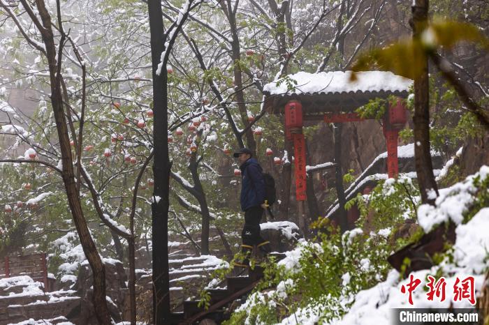 图为摄影爱好者在太行山花溪谷拍摄雪景。　李树锋 摄