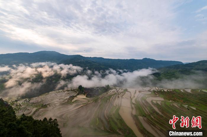 5月12日，贵州从江县的加榜梯田云雾缭绕。　吴德军 摄