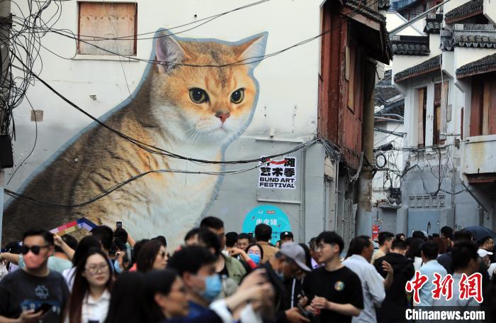 上海老街“变身”创意“猫街”吸引民众前来打卡