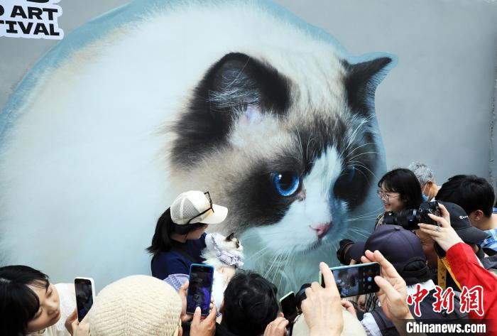 市民带上自己的宠物与巨型猫咪墙绘合影。　汤彦俊 摄