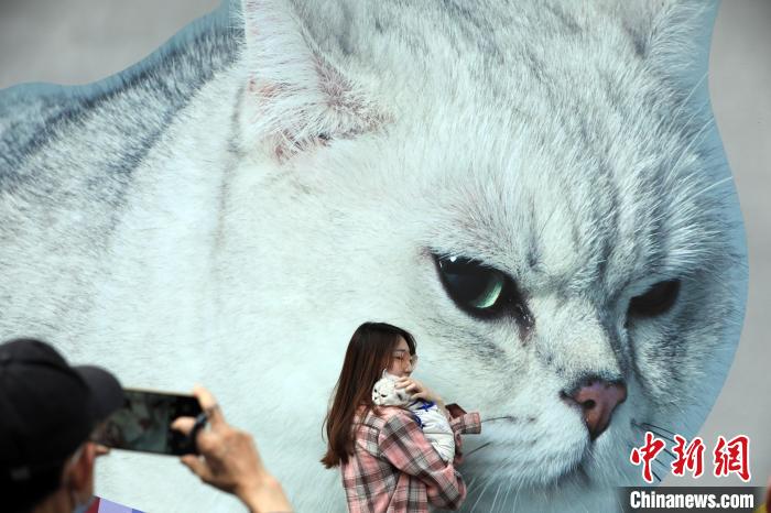 市民带上自己的宠物与巨型猫咪墙绘合影。　汤彦俊 摄