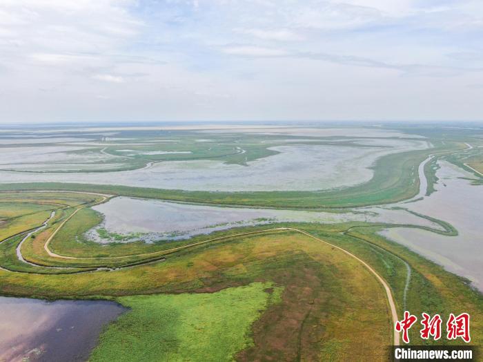 该保护区保护着世界罕见的季节性内陆河口三角洲与湖泊复合湿地，并于2020年成为国际重要湿地。　刘力鑫 摄