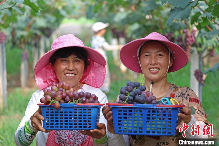 重庆山村发展“庭院经济”：美了村子富了村民