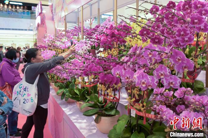 农历新年将至香港商场充满新春气氛