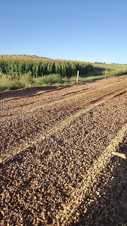 对破损路面开展填补修复工作。杭锦旗相关部门供图