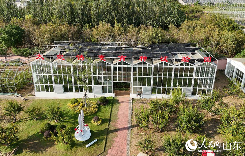 航拍太空诱变育种试验园。人民网记者 刘祺摄