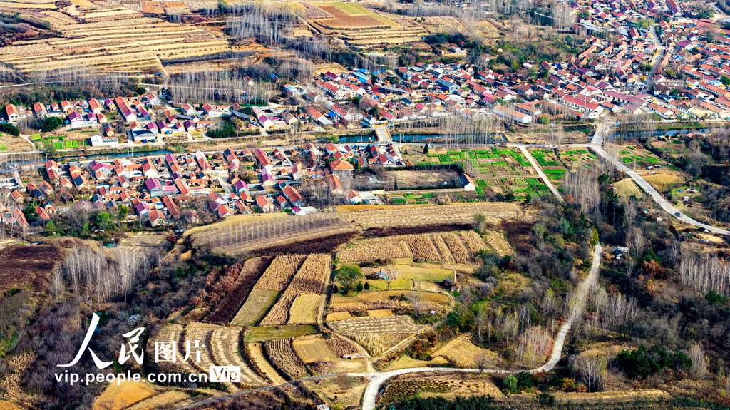 山东青岛：冬日梯田景如画【2】