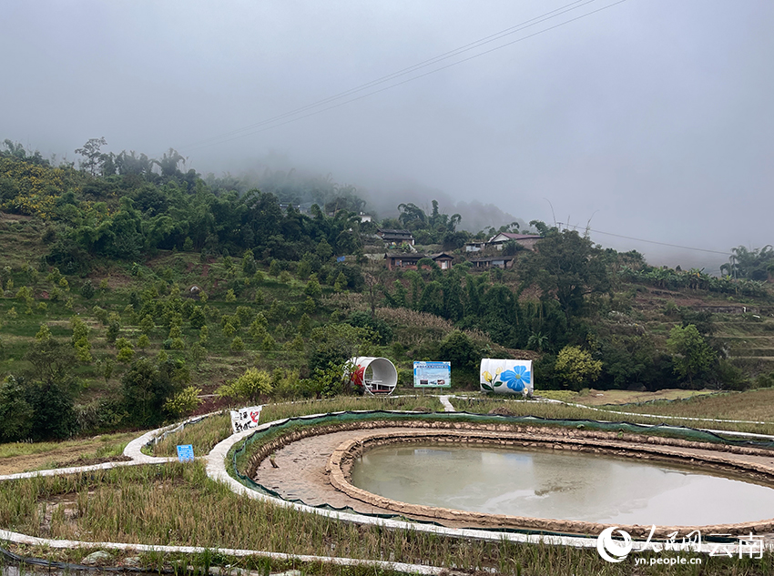初冬季节的玻烈村一角。人民网记者 程浩摄