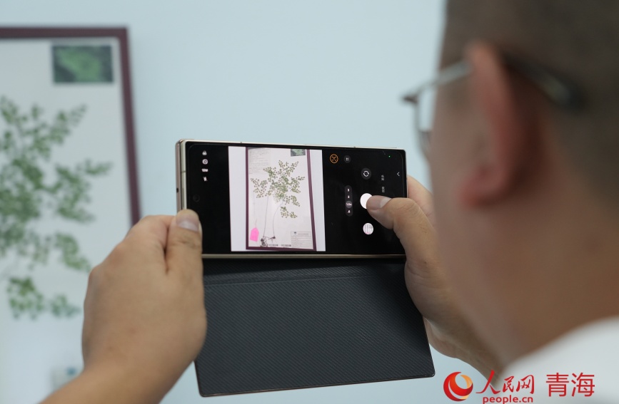 游客在青海省玛可河林业局自然科普馆参观。人民网记者 甘海琼摄