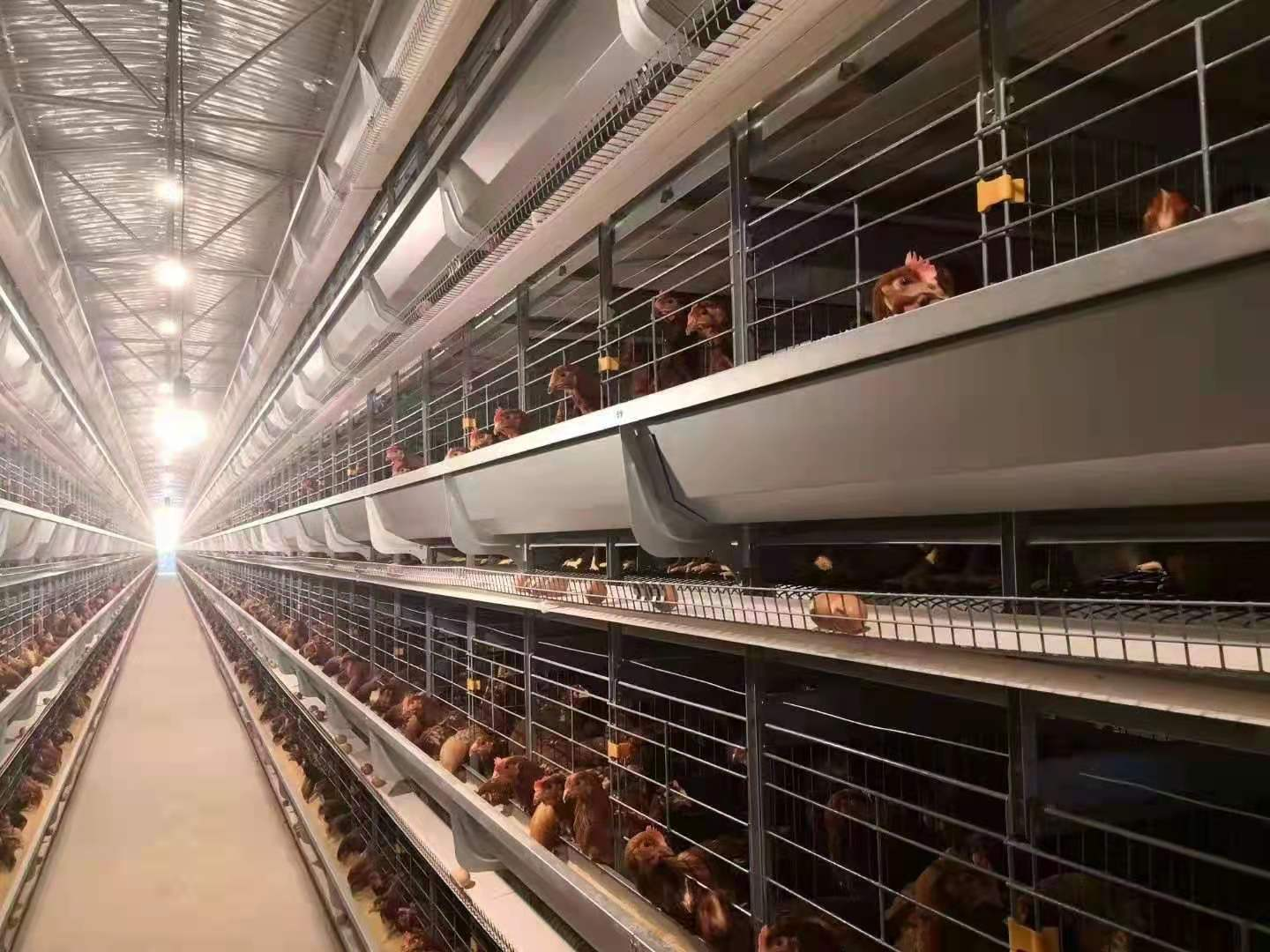 phpB94.tmp phpB94.tmp