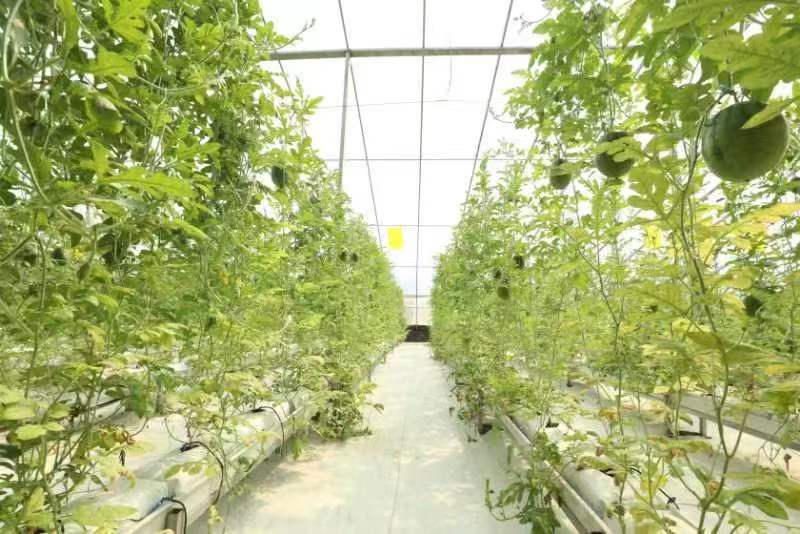 phpC8BA.tmp phpC8BA.tmp