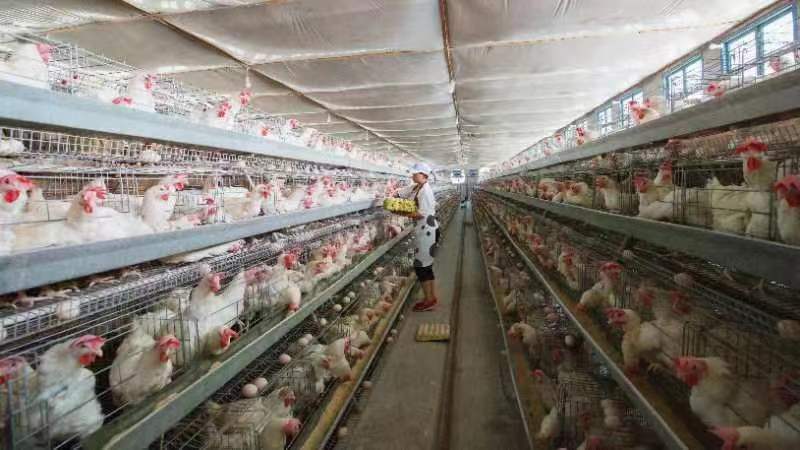 php5314.tmp php5314.tmp