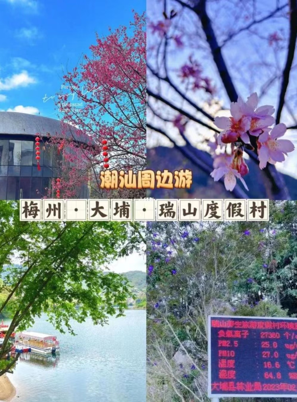 phpFC0D.tmp phpFC0D.tmp