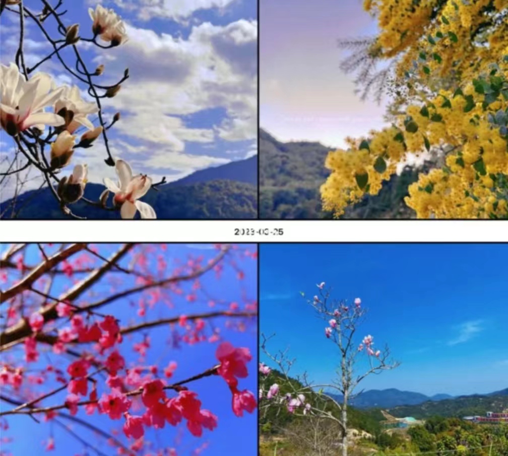 phpD06F.tmp phpD06F.tmp