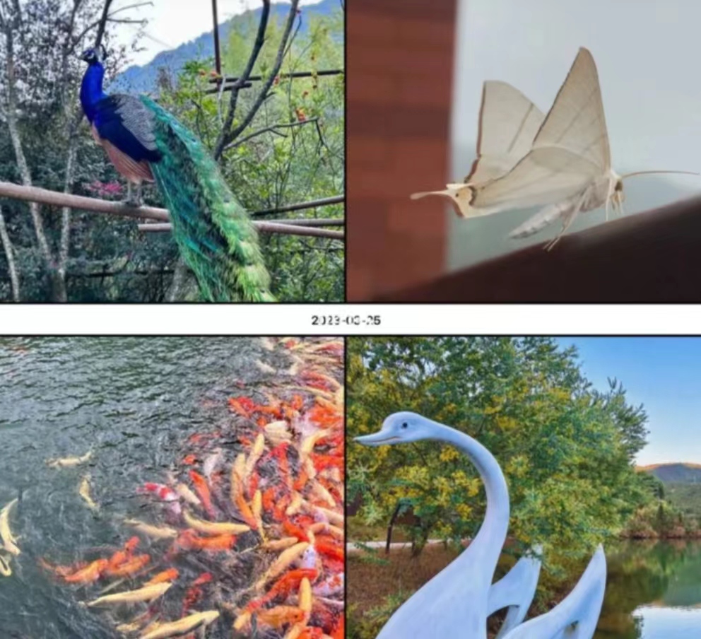 phpFE4C.tmp phpFE4C.tmp