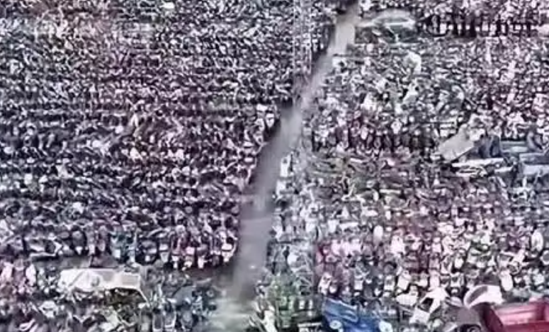 王法明：请将&ldquo;禁电&rdquo;的枪口抬高一厘米！