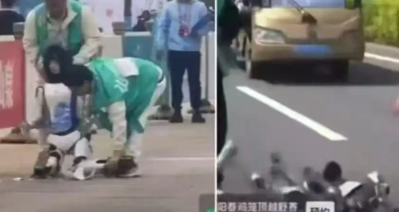 王法明：人形机器人，是骡子是马拉出来遛遛！